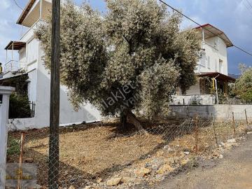 Akbük, Didim, Didim, Aydın ili, Ege Bölgesi