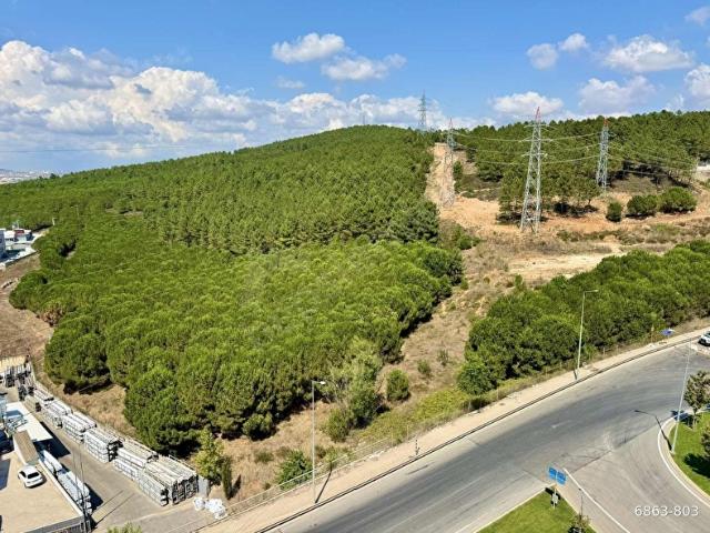 'AKBAL GAYRİMENKUL' KİRALIK 2+1 8.KAT ORMAN CEPHE EBEVEYN BANYOL
