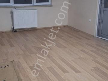 Eyyübiye, Şanlıurfa ili, Güneydoğu Anadolu Bölgesi