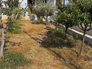 Topallı, Aksu, Aksu, Antalya, Antalya ili, Akdeniz Bölgesi