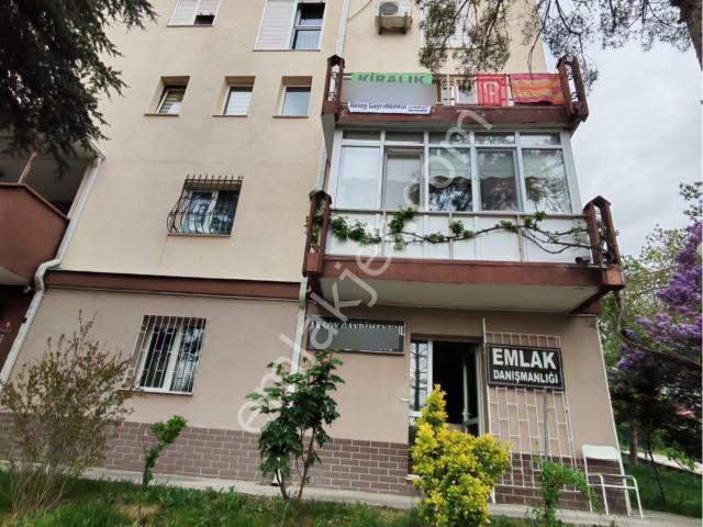 Aksoy Gayrimenkulden Şeyh Şamil Mh 1+1 Eşyalı Kiralık Daire