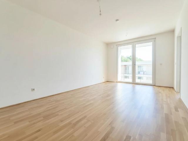 ! AKTION 1 MONAT MIETFREI ERSTBEZUG 2 Zimmer Wohnung + Stellplatz zur Vermietung