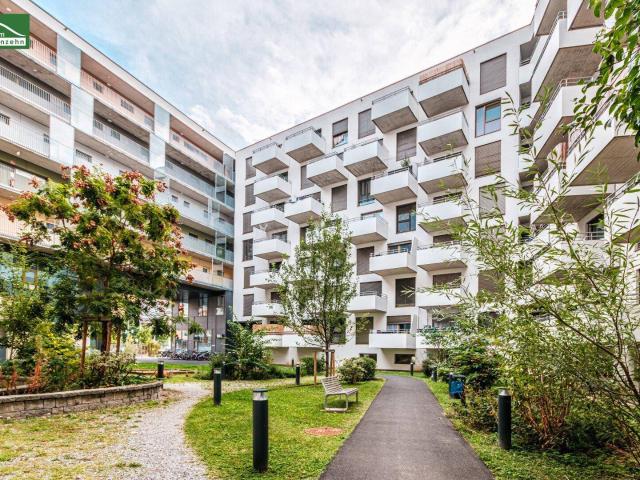 AKTION 1 MONAT MIETZINSFREI! URBAN GARDENING IM NEUEN VIERTEL REININGHAUS