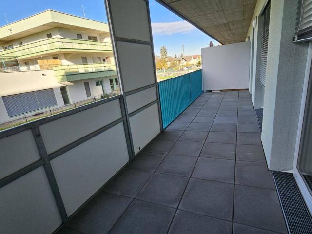 AKTION! 2 MONATE MIETFREI ! 2 ZIMMER MIETWOHNUNG MIT BALKON