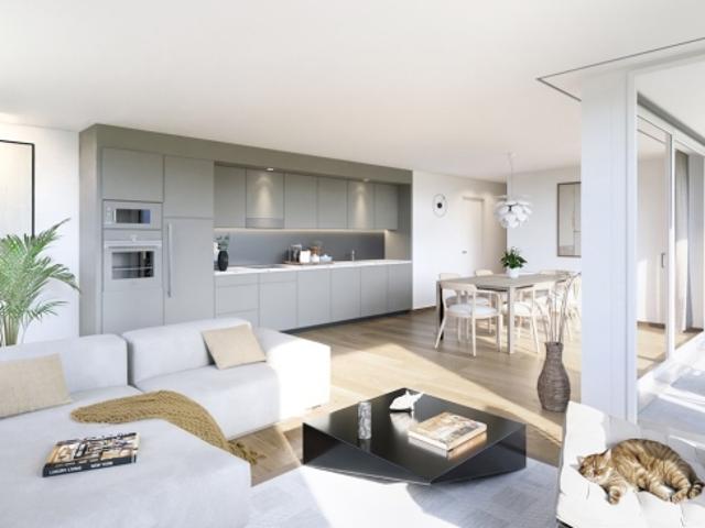 Aktionen von 25 Wohnungen von Studios auf 5,5 Zimmer zum Verkauf in Siviriez