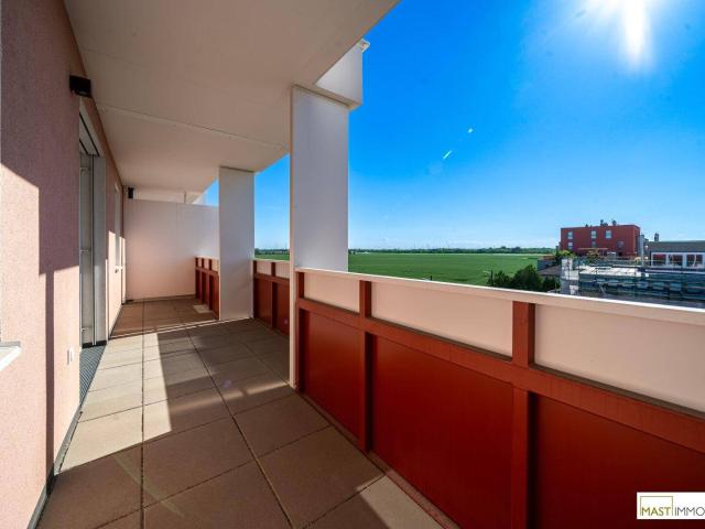 2 Zimmer Wohnung im Jonas am Feld