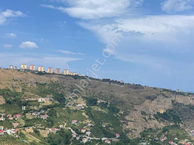 Akyazı`da Deniz, Doğa Ve Göl Manzaralı Havuzlu Villa Projesi