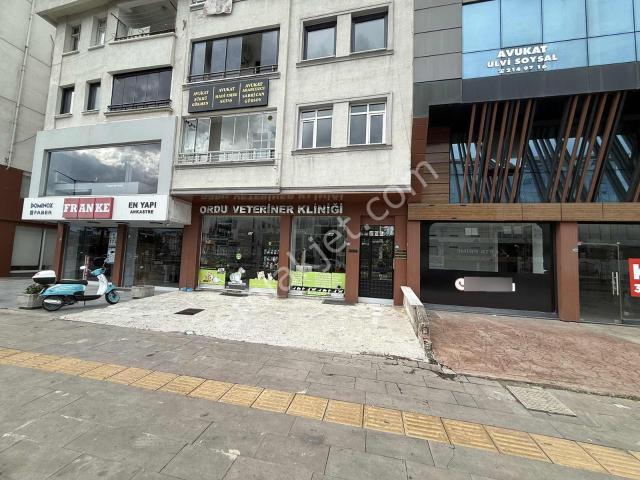 Akyazı Mah. Satılık Ofis &ev