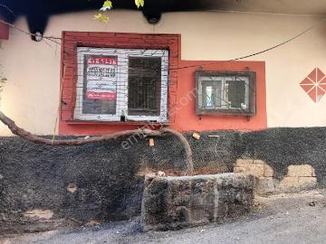 Şehitkamil, Gaziantep, Şahinbey, Kilis ili, Güneydoğu Anadolu Bölgesi