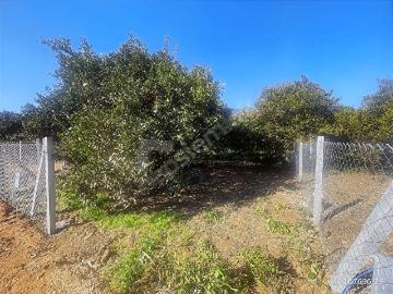 Ahmetbeyli, Menderes, Menderes, İzmir ili, Ege Bölgesi