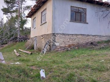 Şahin Emlaktan Çameli Kolakta 1391 M² Satılık Ev Ve Bahçesi