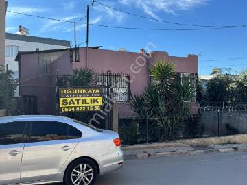 Şahintepe Mah , Şahintepe Mahallesi, Mamak, Ankara ili, İç Anadolu Bölgesi