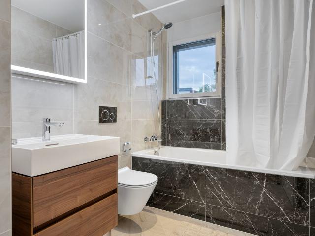 Airy Furnished Studio Apartment in Friesenberg, Zurich Amsterdam Apartments for Rent