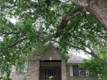 Brushy Creek, Round Rock-Georgetown CCD Williamson County Texas, Williamson County, Texas, Texas, USA
