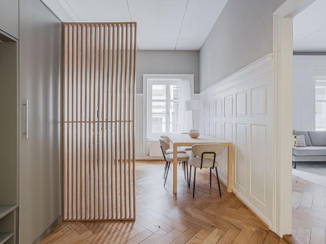 Airy 1 Bedroom Furnished Apartment in Oberstrass, Zurich Amsterdam Apartments for Rent