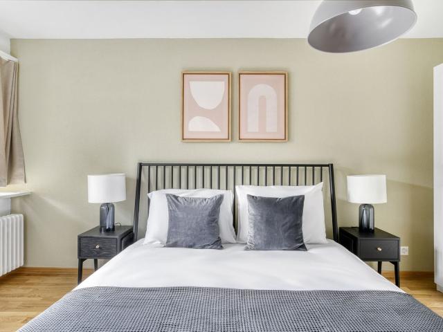 Airy 1 Bedroom Furnished Apartment in Unterstrass, Zurich Amsterdam Apartments for Rent