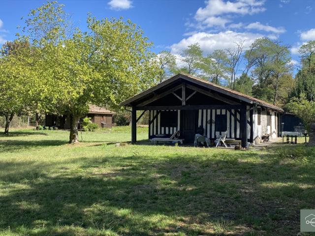 Airial landaise colombage dépendance bois gite 1 h. 131m² Callen