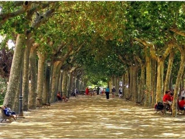AL CENTRE DE LA POBLACIÓ