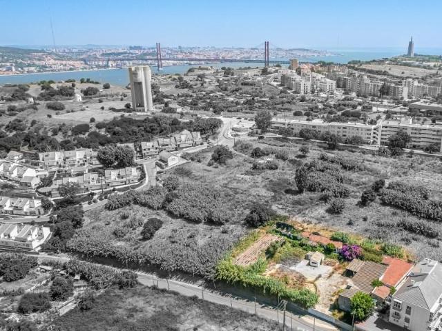 Almada Almada 104903616