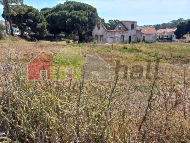 Almada Almada 105642163