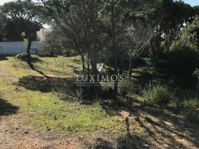 Almancil FARO 96316466