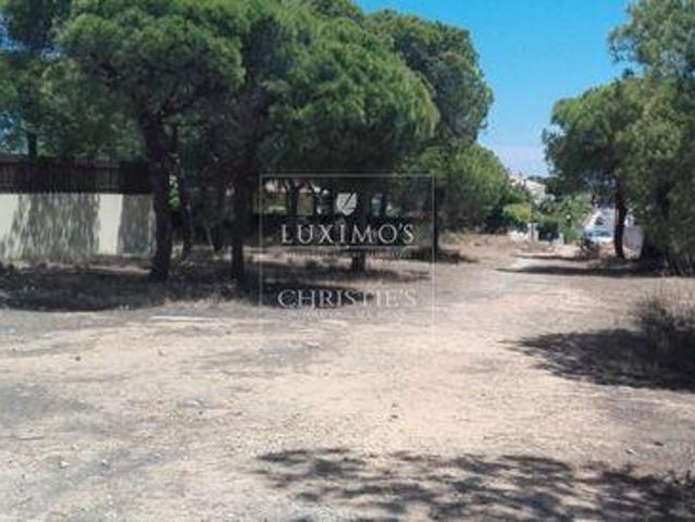 Almancil FARO 96332621
