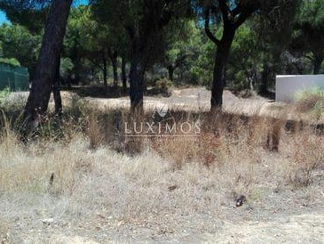 Almancil FARO LS96332622