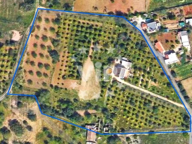 Almancil Quinta Com Terreno 303m² Almancil