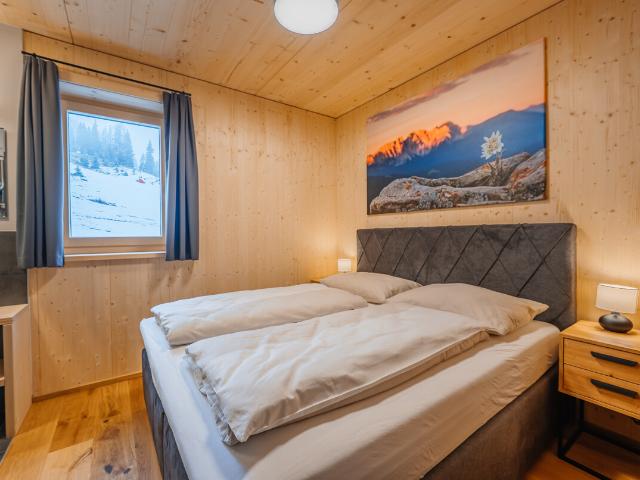 AlmAppartements Lachtal 2 Zimmer Appartement