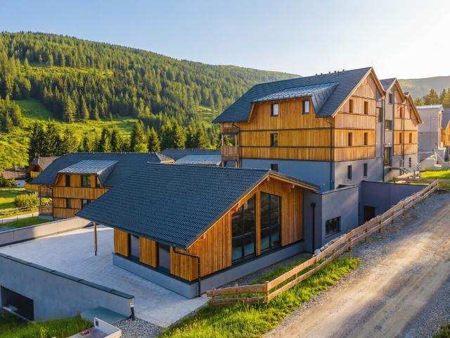 AlmAppartements Lachtal 3 Zimmer Appartement
