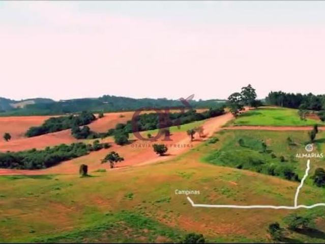 Almarias – Condomínio Fazenda com lotes a partir de 20.000 m² e infraestrutura própria – Interior de