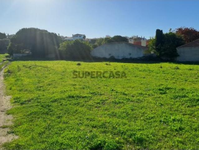 Almoçageme Terreno Urbano