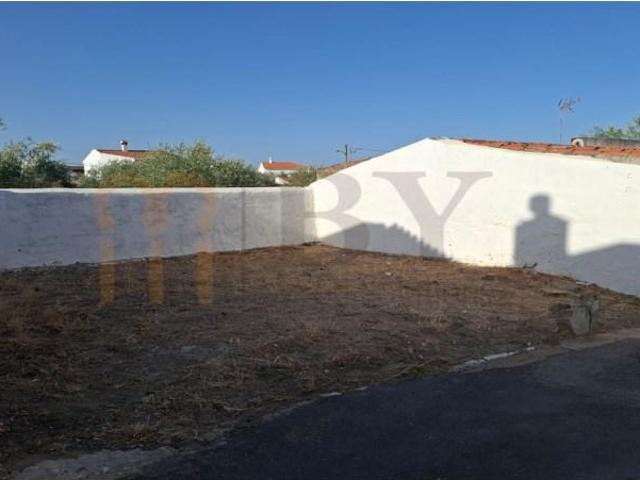 Almodôvar Almodôvar 105314365
