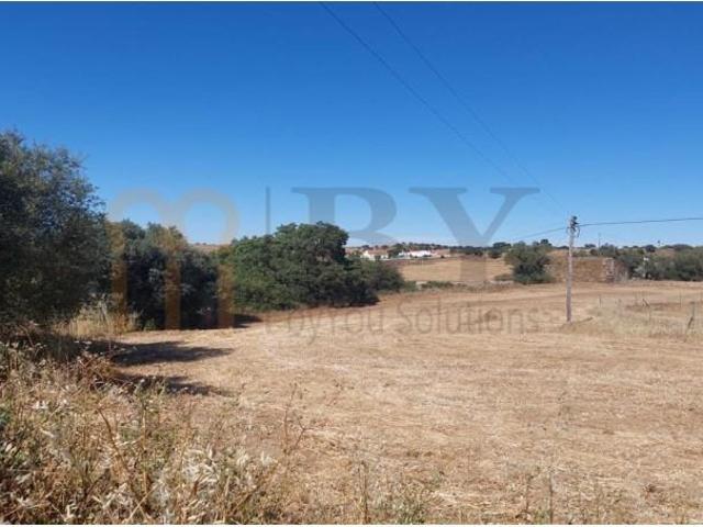 Almodôvar Almodôvar 97123614