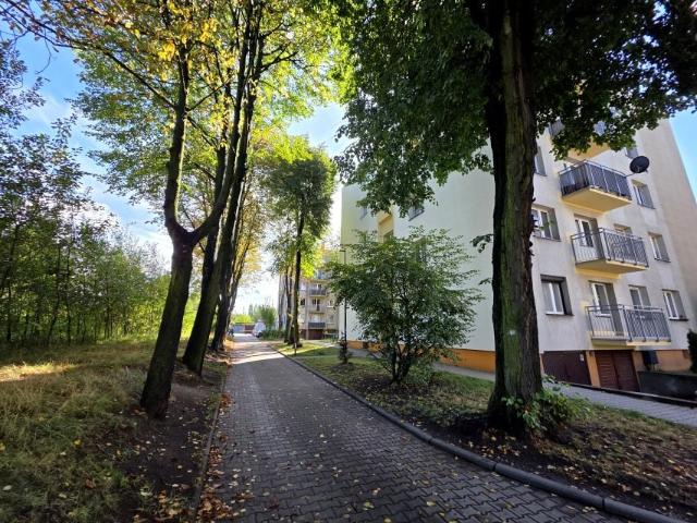 Alojzjanów 53 m², Bytom
