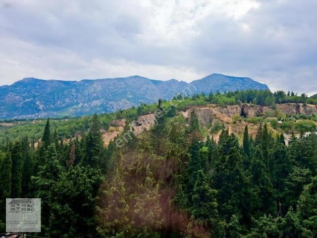 Alaybey Cadde Üstü Asansörlü Arakat Daire