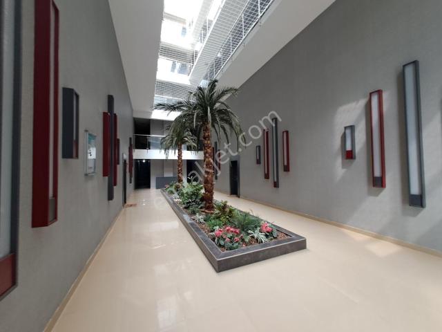 Alaçatı'dan Kızılcaşarda Manzaralı/iskanlı/ Geniş Daire