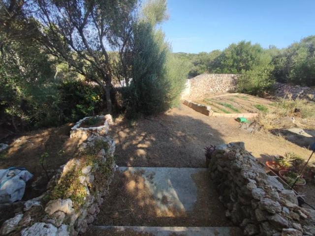 Alaior
