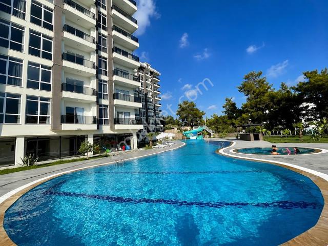 Alanya Avsallarda Havuz Manzaralı Lüks Komplekste 1+1 Satılık Daire
