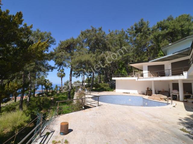 Alanya Bektaş'ta Kiralık Villa snowdrop