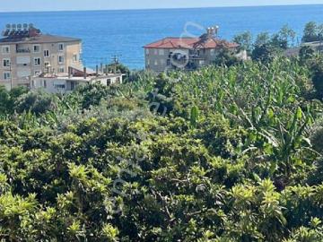 Alanya Dinek Te Deniz Manzaralı Eşyalı Kiralık 3+1 Daire