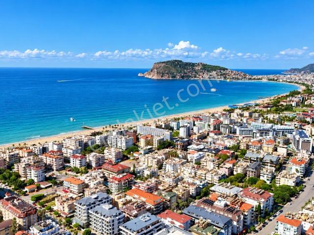 Alanya Oba 2+1 100m2 Havuzlu,eşyalı,denize 300m,merkezde