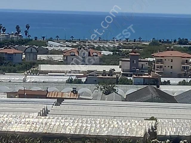 Alanya Payallar'da Satılık 1+1 Daire denize 700m, Havuzlu