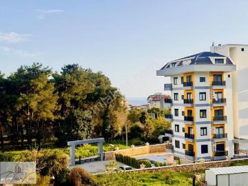 Çıplaklı, Alanya, Alanya, Antalya ili, Akdeniz Bölgesi