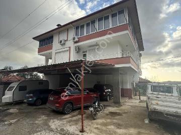 Alanya, Antalya ili, Akdeniz Bölgesi - Klima