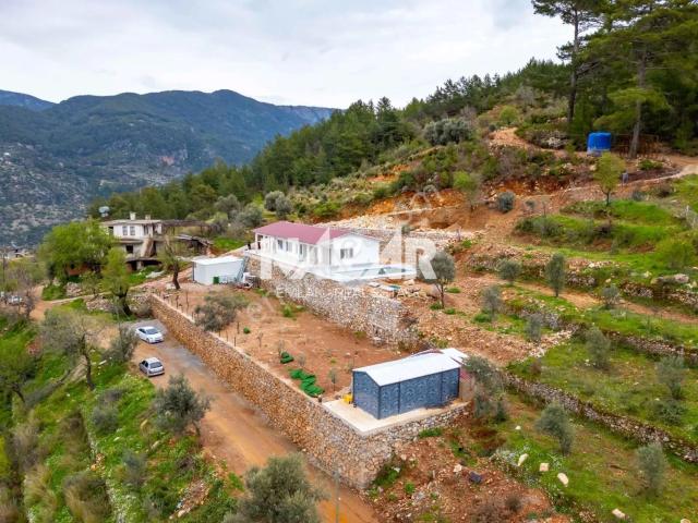 Alanya Türktaş’ta 1.657 M² Satılık Tarla Ve 2 Ayrı Müstakil Ev