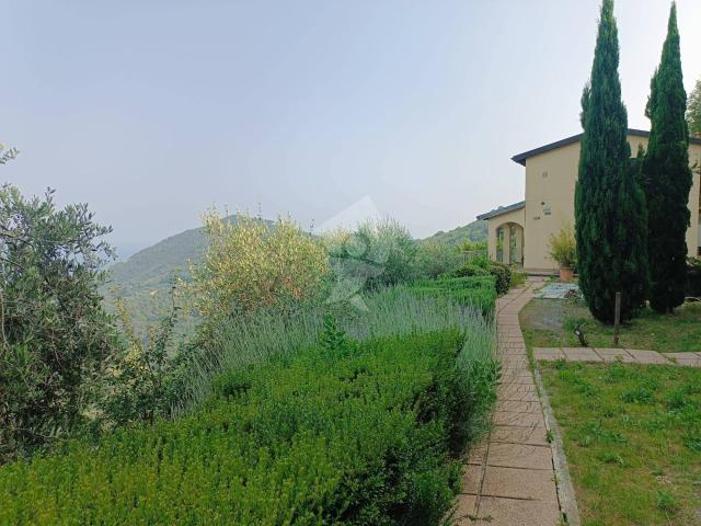 2 stanze in affitto