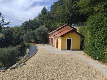 2 stanze in affitto