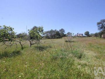 Albufeira Faro 91798585