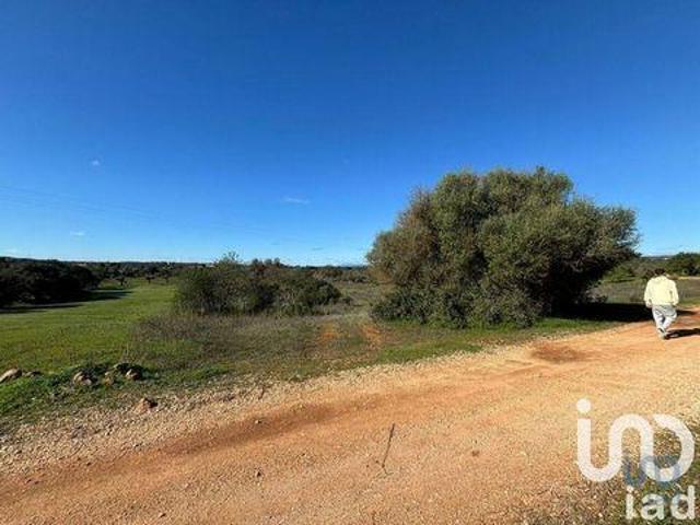 Albufeira Faro 95329232